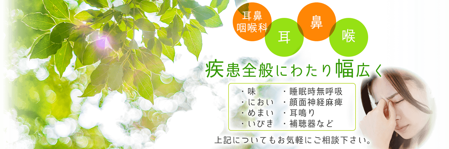 耳鼻咽喉科　アレルギー科　河村医院